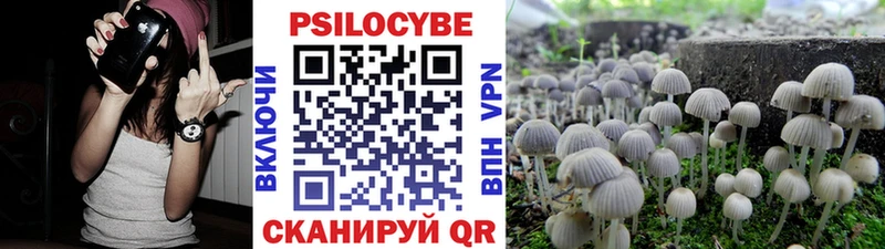 где купить наркоту  Торопец  blacksprut ССЫЛКА  Псилоцибиновые грибы мухоморы 